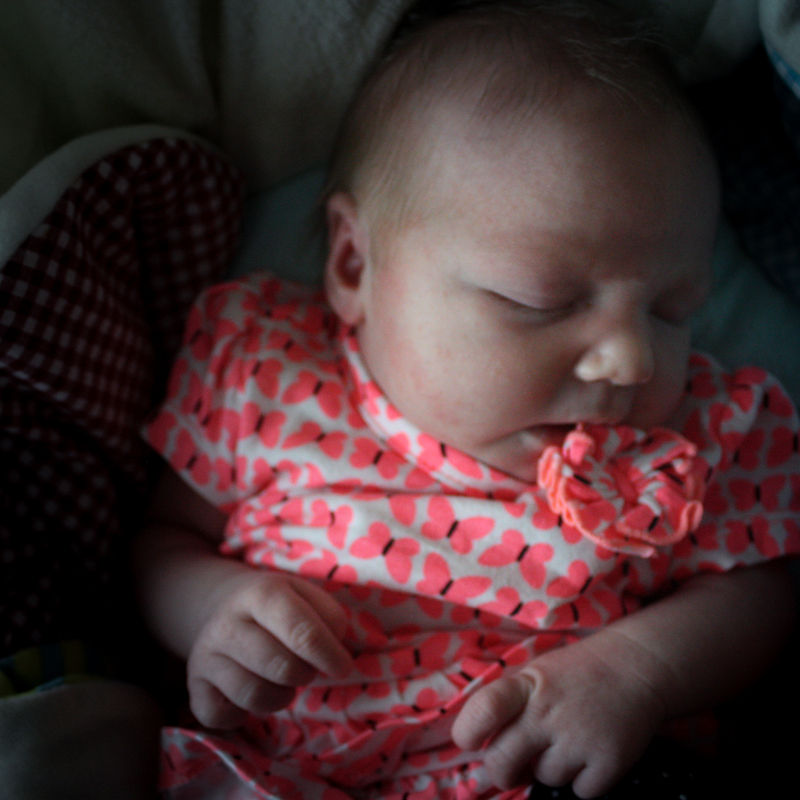 Newborn Sessions