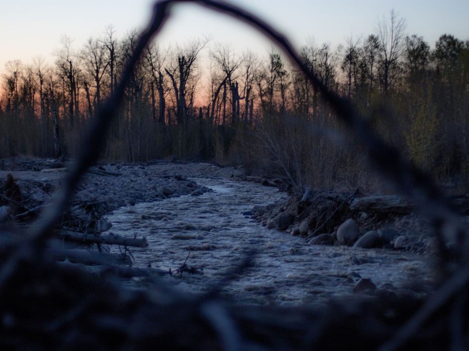 Rice River